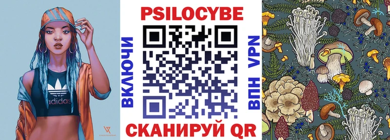 мега ССЫЛКА  цена   Сосновка  Галлюциногенные грибы мицелий 